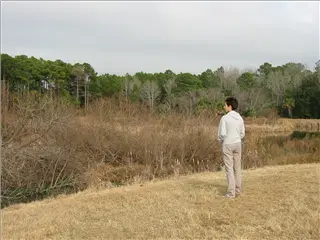 small_020127 hilton head etc IMG_0211.webp